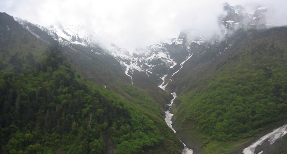 Image Alt Text